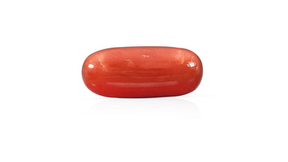 Natural Italian Red Coral (Moonga) 12.02 Carats