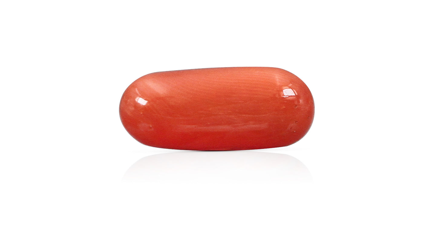 Natural Italian Red Coral (Moonga) 9.72 Carats