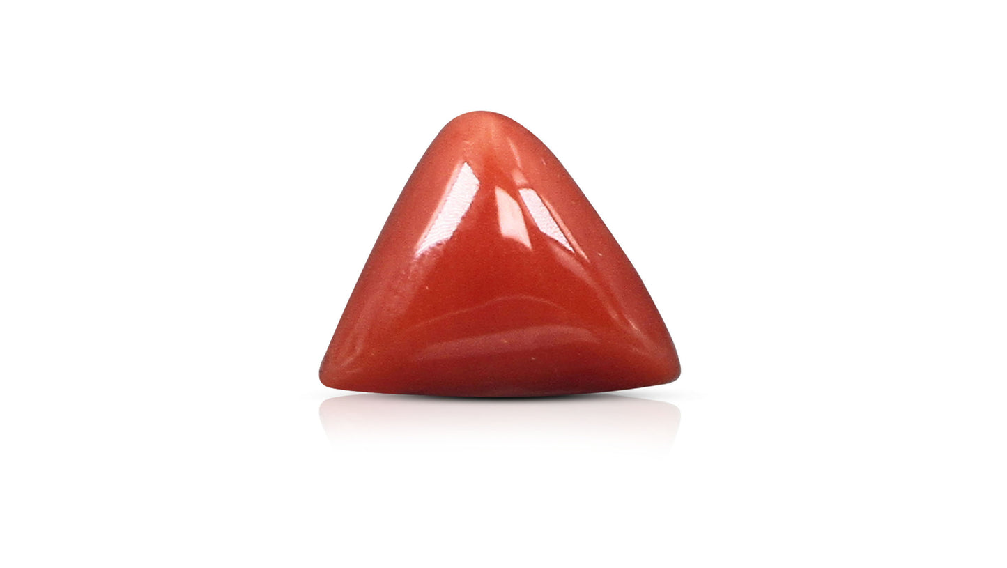 Natural Italian Red Coral (Moonga) 5.92 Carats