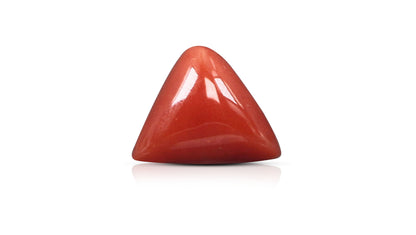 Natural Italian Red Coral (Moonga) 5.92 Carats