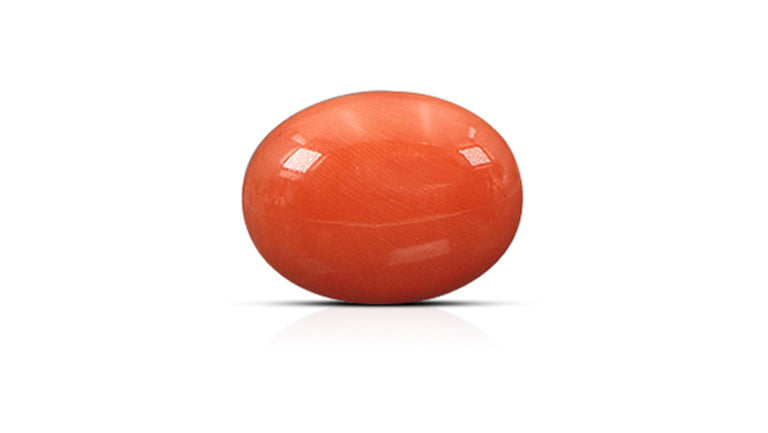 Japanese Red Coral (Moonga) 18.41 Carats