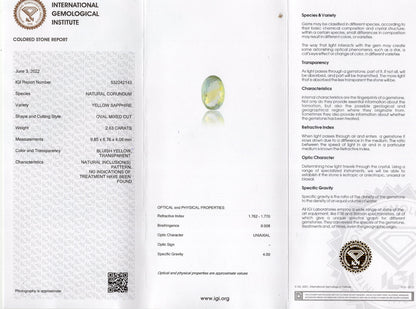 Natural Pitambari 2.63 Carats