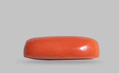 Natural Red Coral (Moonga) 7.36 Carats
