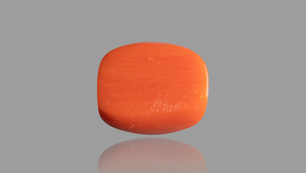 Natural Italian Red Coral (Moonga) 14.29 Carats