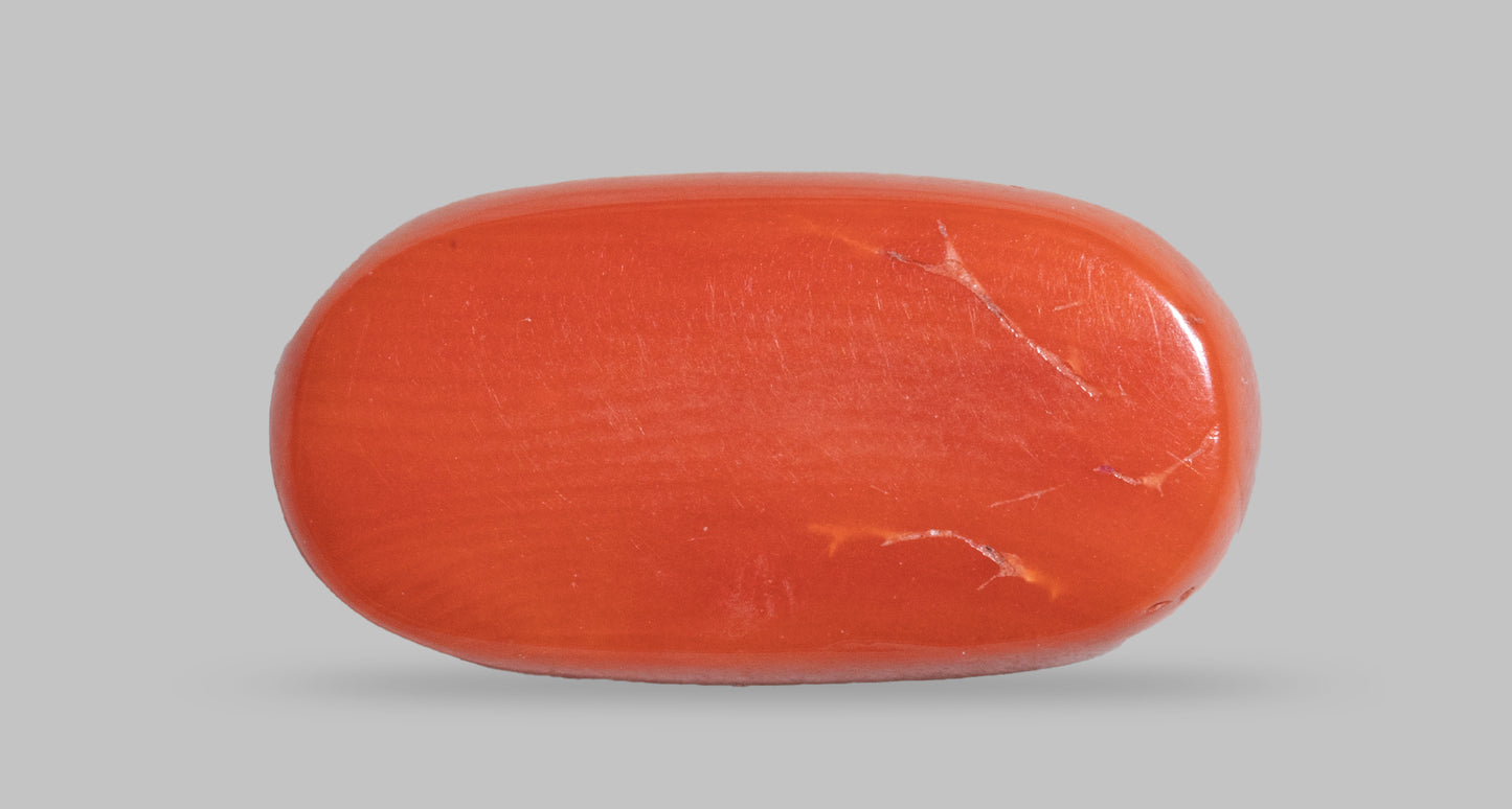 Natural Italian Red Coral (Moonga) 7.58 Carats