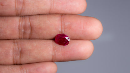 Natural Mozambique Ruby (Manik) 2.52 Carats