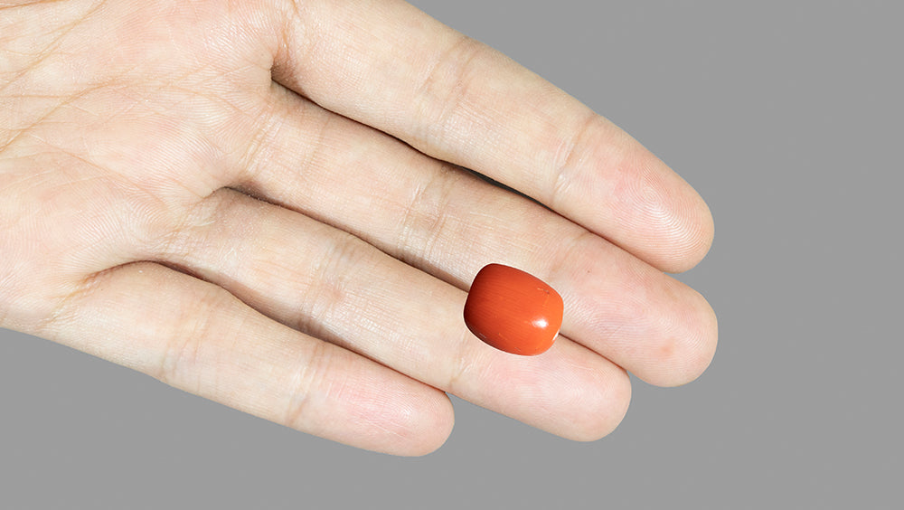 Natural Italian Red Coral (Moonga) 14.29 Carats