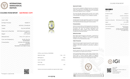 Natural Pitambari 4.78  Carats