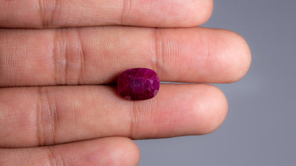 Natural Mozambique Ruby (Manik) 7.92 Carats