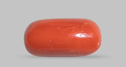 Natural Italian Red Coral (Moonga) 7.58 Carats