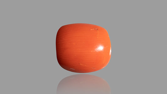 Natural Italian Red Coral (Moonga) 14.29 Carats