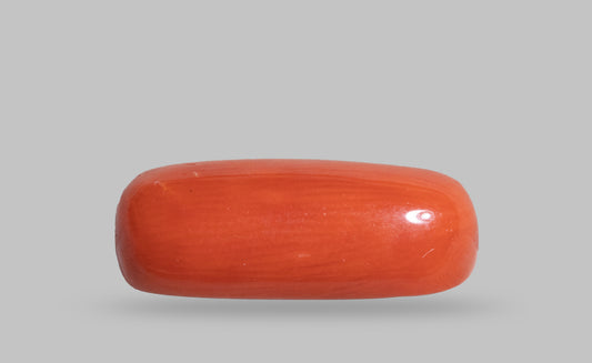 NATURAL RED CORAL (MOONGA) 7.48 CARATS