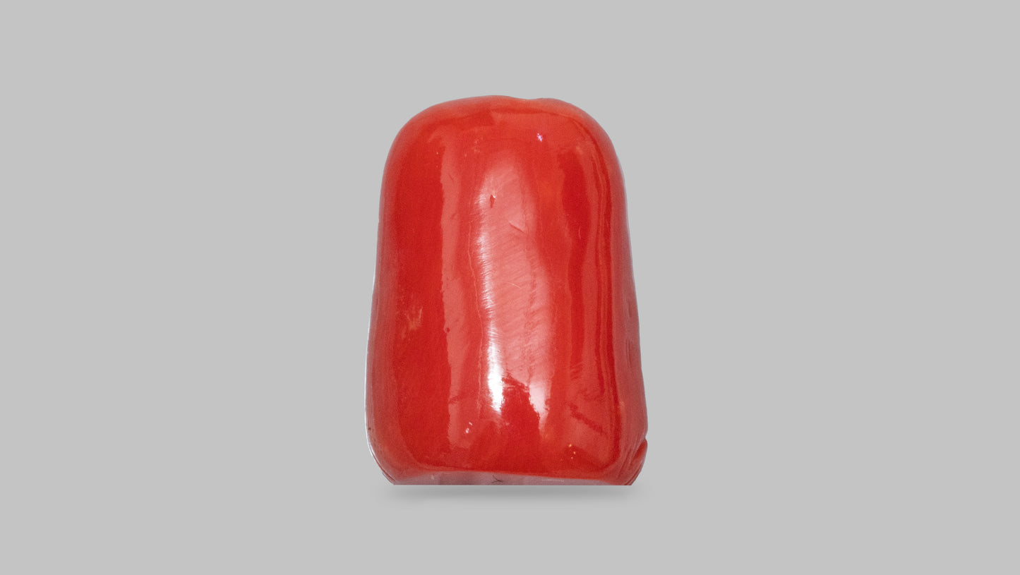 Japanese Ganesh Carving Red Coral(Moonga) 14.75 Carats