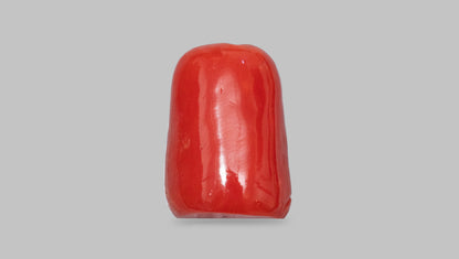 Japanese Ganesh Carving Red Coral(Moonga) 14.75 Carats
