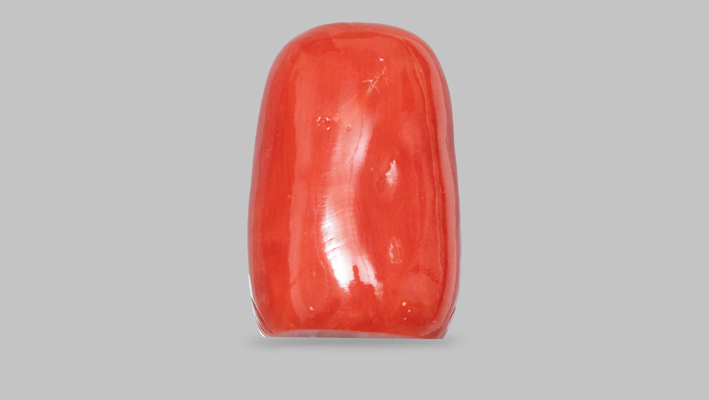 Japanese Ganesh Carving Red Coral(Moonga) 12.97 Carats