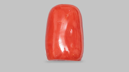 Japanese Ganesh Carving Red Coral(Moonga) 12.97 Carats