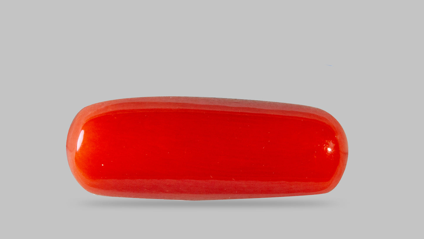 Natural Italian Red Coral (Moonga) 8.81 Carats