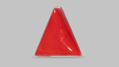 NATURAL RED CORAL (MOONGA) 8.28 CARATS