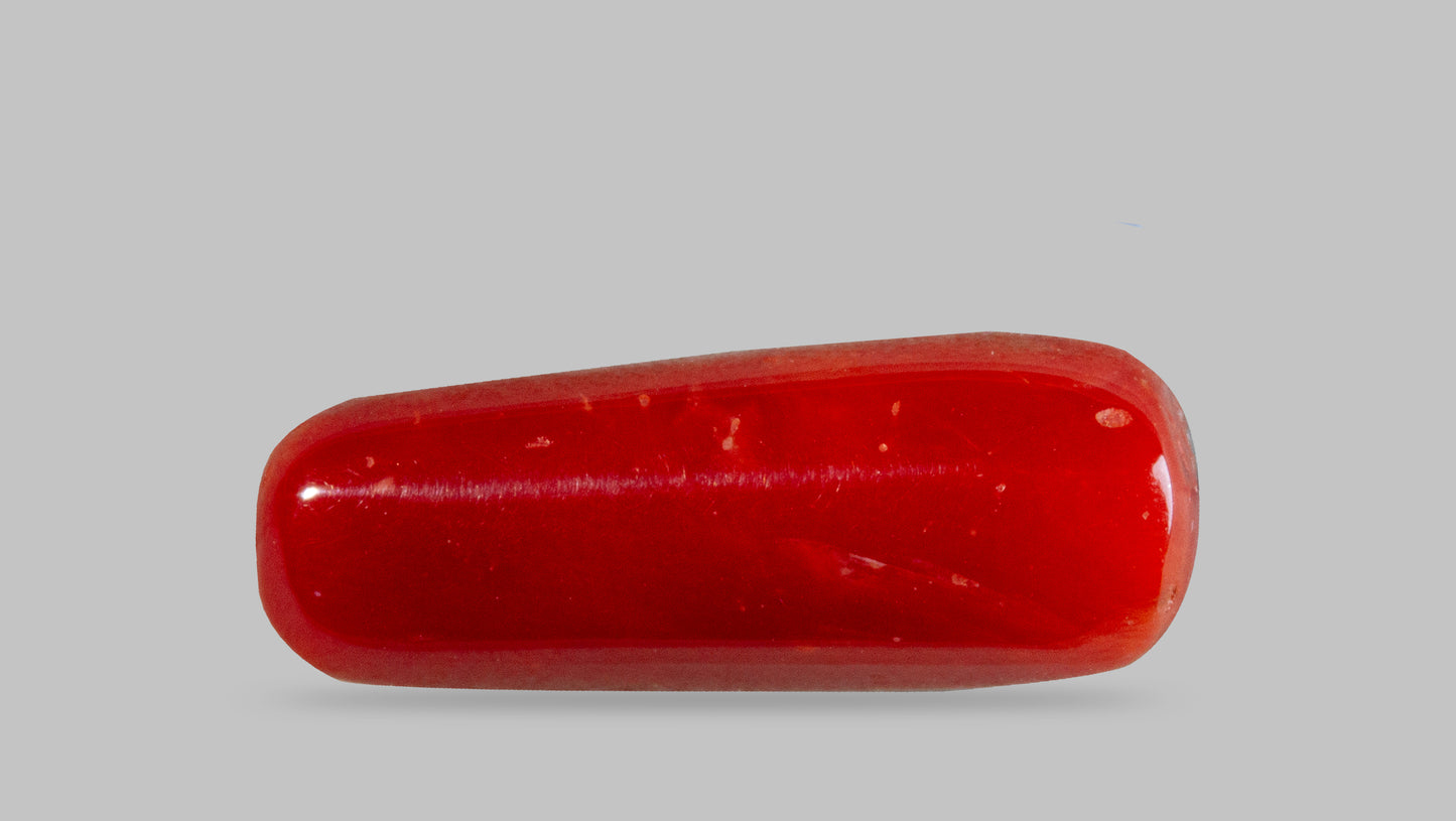 NATURAL RED CORAL (MOONGA) 7.04 CARATS