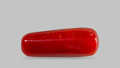 NATURAL RED CORAL (MOONGA) 7.04 CARATS