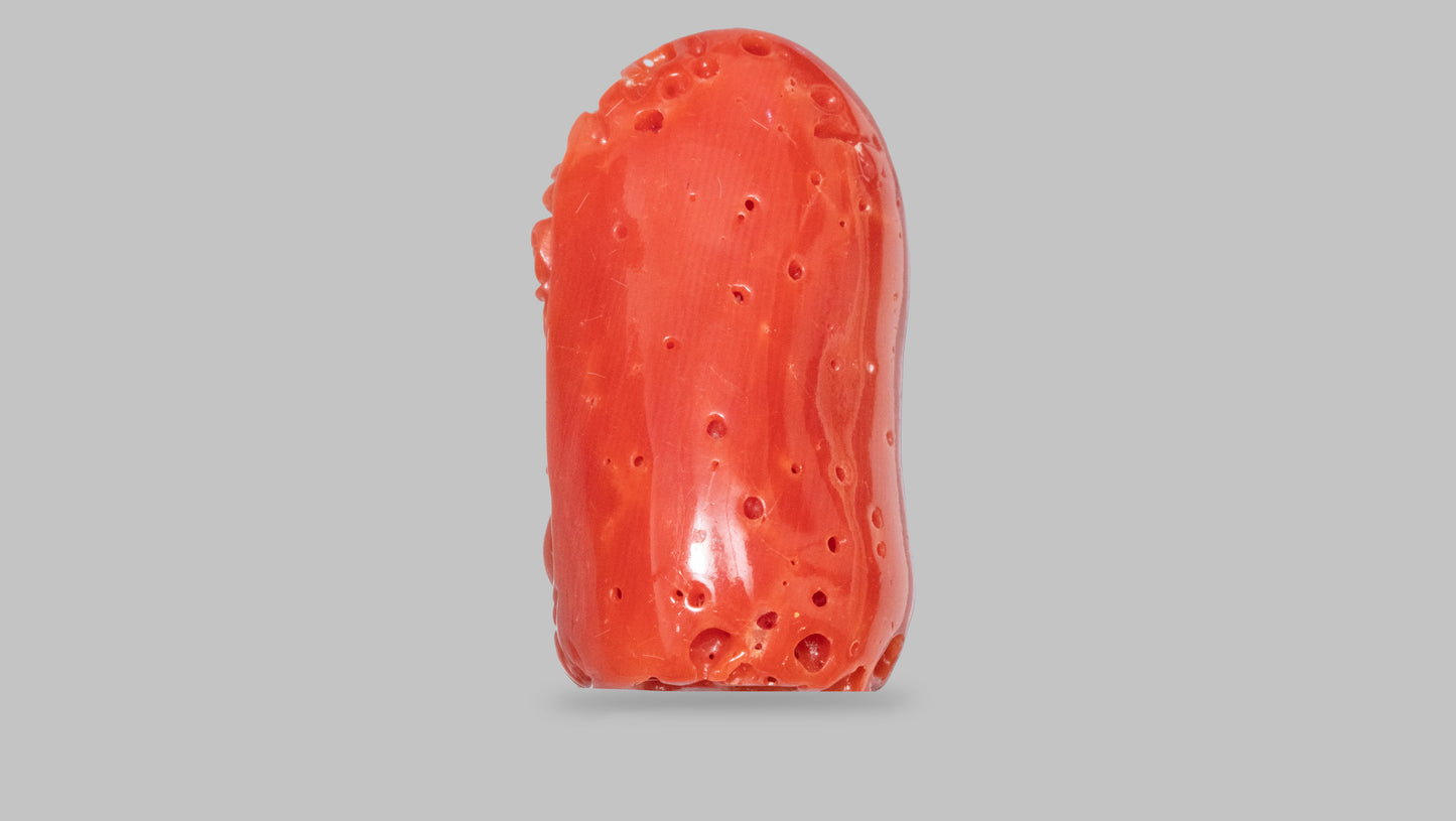 Japanese Ganesh Carving Red Coral(Moonga) 15.67 Carats