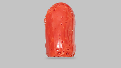 Japanese Ganesh Carving Red Coral(Moonga) 15.67 Carats