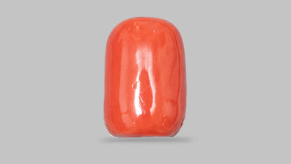 Japanese Ganesh Carving Red Coral(Moonga) 17.43 Carats