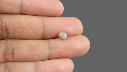 Natural Cat'S Eye (Lehsuniya) 1.68 Carats