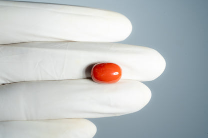 Natural Italian Red Coral (Moonga) 10.08 Carats
