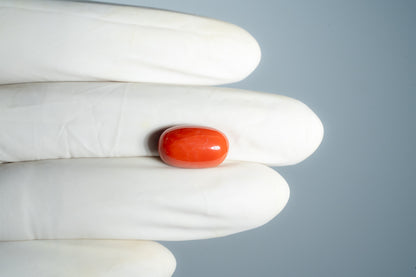 NATURAL RED CORAL (Moonga) 9.87 CARATS