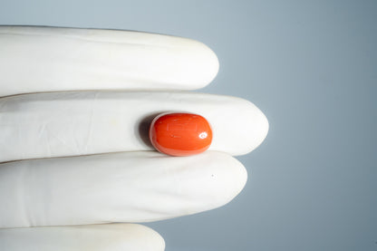 Natural Italian Red Coral (Moonga) 15.43 Carats