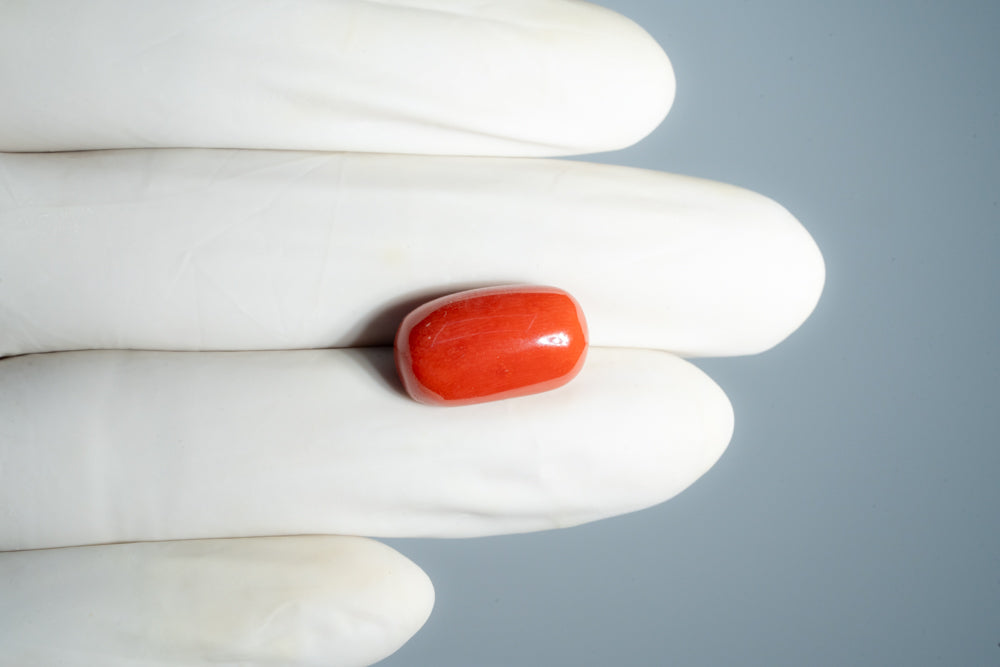 Natural Italian Red Coral (Moonga) 14.25 Carats