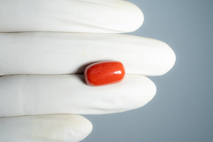 Natural Italian Red Coral (Moonga) 14.25 Carats