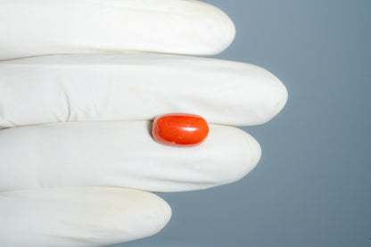 Natural Red Coral (Moonga) 8.04 Carats