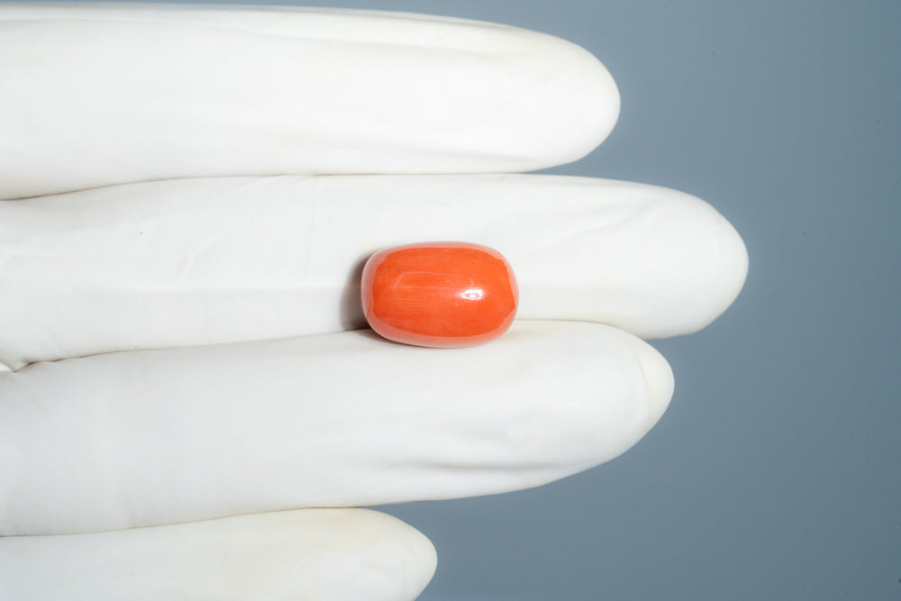 Natural Italian Red Coral (Moonga) 13.29 Carats