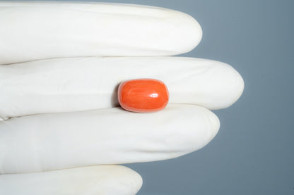 Natural Italian Red Coral (Moonga) 13.29 Carats