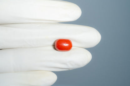 Natural Italian Red Coral (Moonga) 8.12 Carats