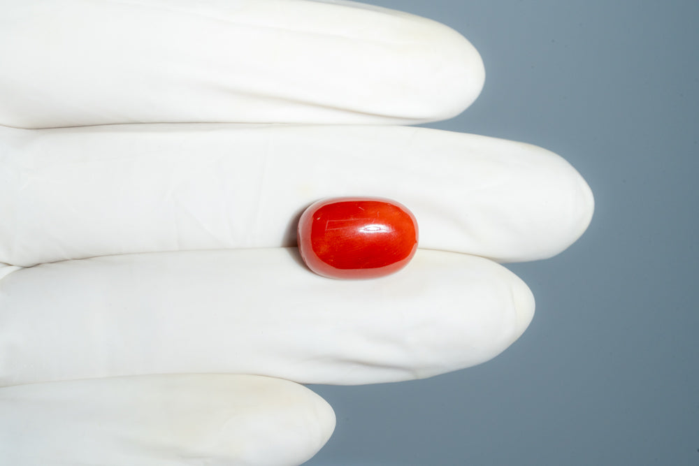 Natural Italian Red Coral (Moonga) 12.43 Carats