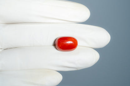 Natural Italian Red Coral (Moonga) 12.43 Carats