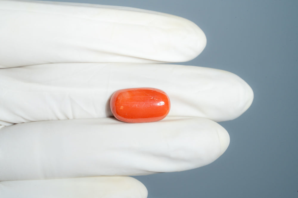 Natural Italian Red Coral (Moonga) 12.60 Carats