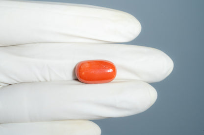 Natural Italian Red Coral (Moonga) 12.60 Carats