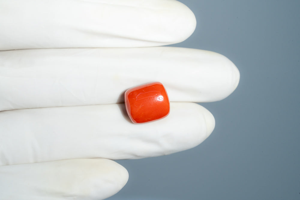 Natural Italian Red Coral (Moonga) 13.52 Carats