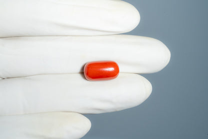 Natural Italian Red Coral (Moonga) 9.98 Carats