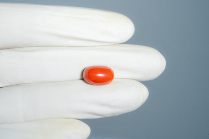 Natural Italian Red Coral (Moonga) 8.36 Carats