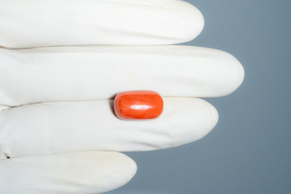 Natural Italian Red Coral (Moonga)12.59 Carats