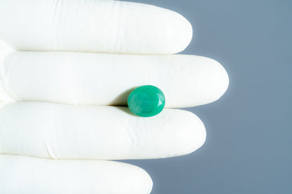 Natural Zambian Emerald (Panna) 5.64 Carats