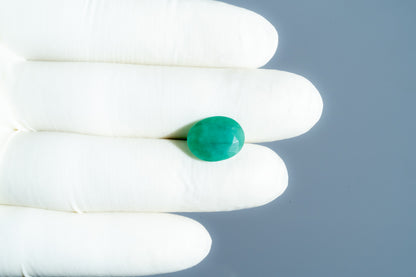 Natural Zambian Emerald (Panna) 5.59 Carats