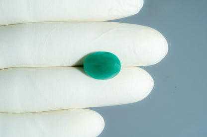 Natural Zambian Emerald (Panna) 6.63 Carats