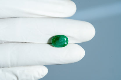 Natural Zambian Emerald (Panna) 5.62 Carats