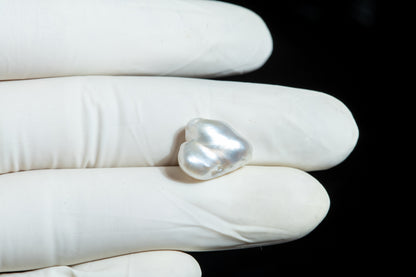 Venezuela Pearl (Moti) 10.72 Carats